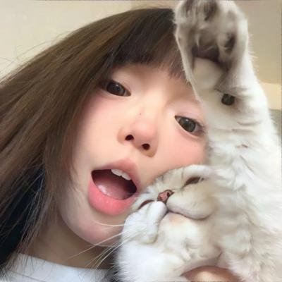 挚爱极地